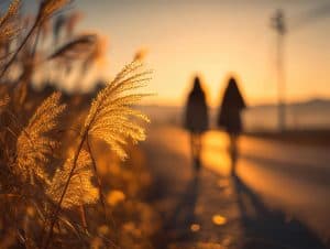 Therapist-Patient Relationship